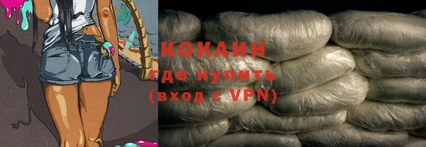 индика Пестово