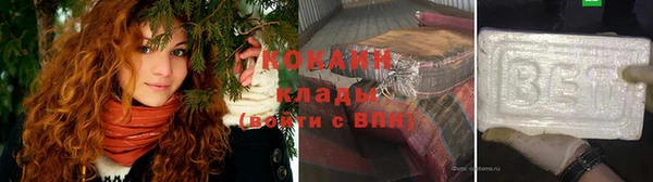 индика Пестово