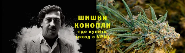 индика Пестово