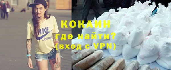 индика Пестово