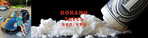 индика Пестово